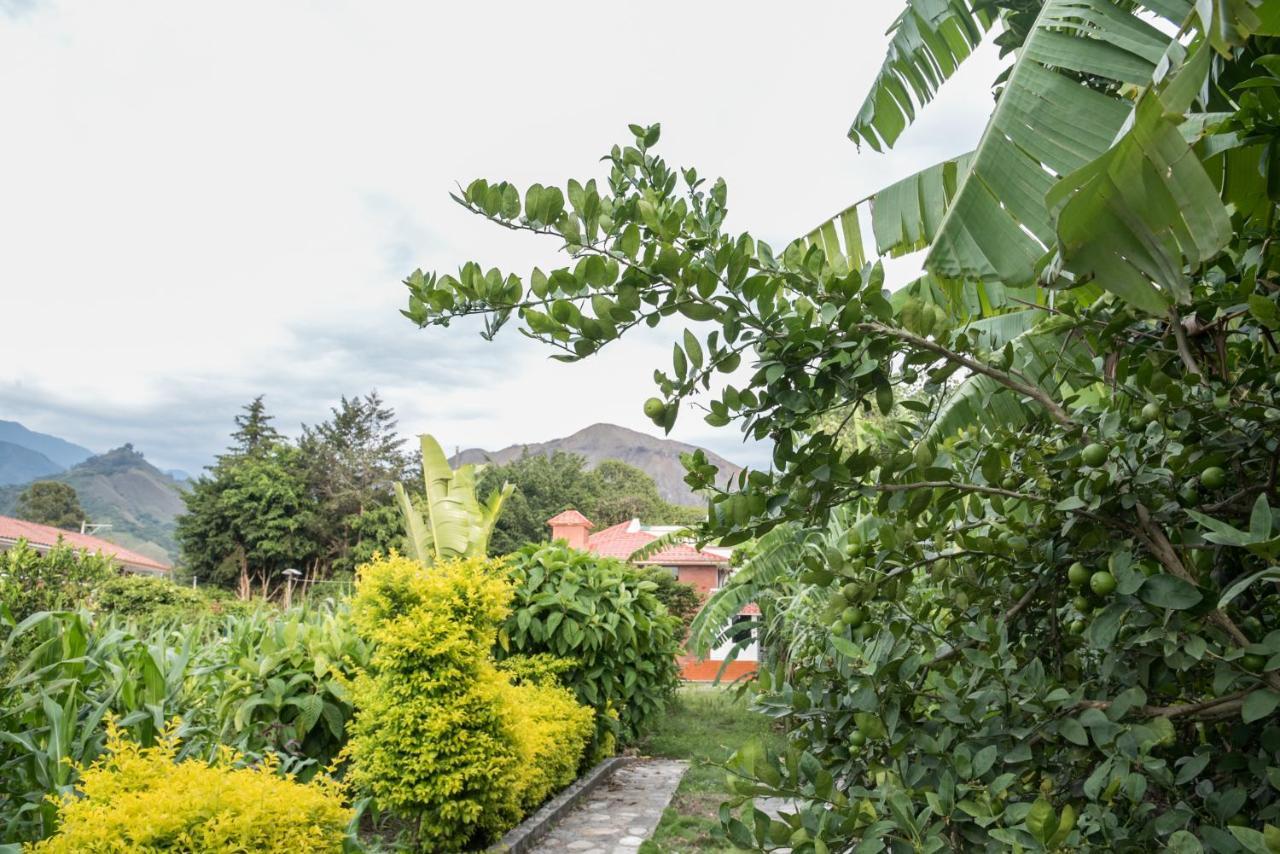 Garden House Hotel Vilcabamba Luaran gambar